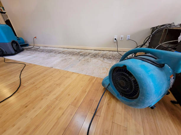 Professional Flood Damage Cleanup technician working in Whitelaw, WI